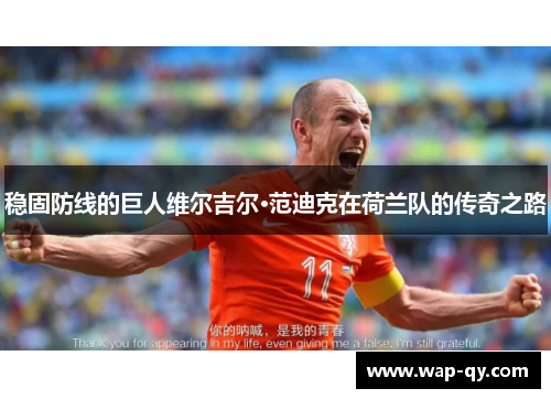 稳固防线的巨人维尔吉尔·范迪克在荷兰队的传奇之路
