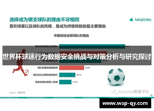 世界杯球迷行为数据安全挑战与对策分析与研究探讨