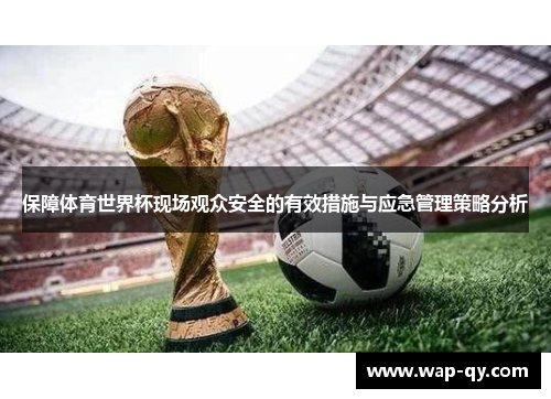 保障体育世界杯现场观众安全的有效措施与应急管理策略分析