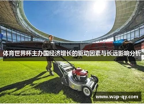 体育世界杯主办国经济增长的驱动因素与长远影响分析
