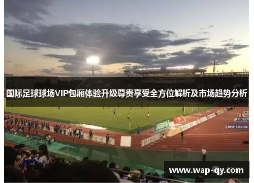 国际足球球场VIP包厢体验升级尊贵享受全方位解析及市场趋势分析