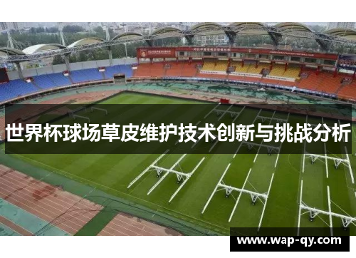 世界杯球场草皮维护技术创新与挑战分析