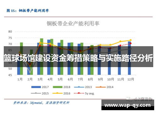 篮球场馆建设资金筹措策略与实施路径分析