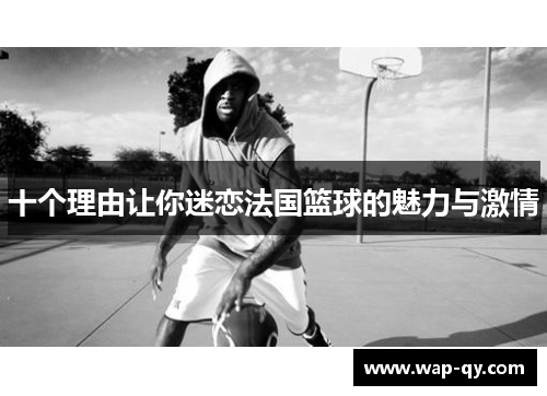 十个理由让你迷恋法国篮球的魅力与激情