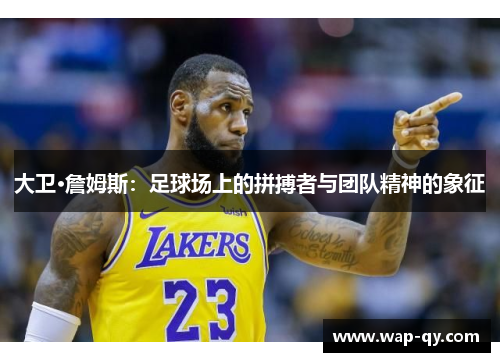 大卫·詹姆斯：足球场上的拼搏者与团队精神的象征