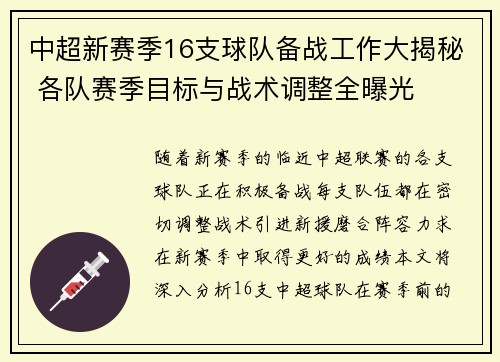 中超新赛季16支球队备战工作大揭秘 各队赛季目标与战术调整全曝光