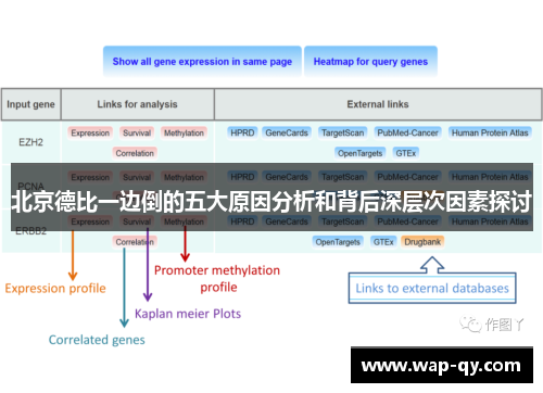 北京德比一边倒的五大原因分析和背后深层次因素探讨