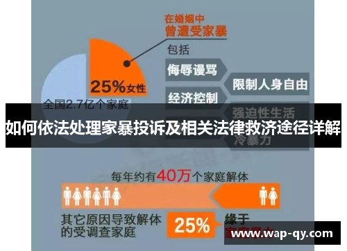 如何依法处理家暴投诉及相关法律救济途径详解