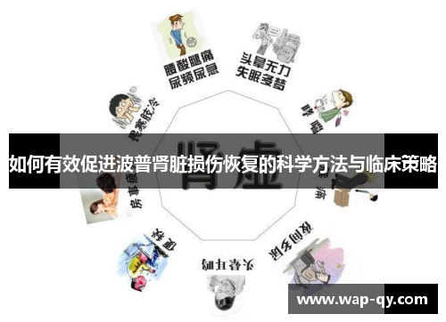 如何有效促进波普肾脏损伤恢复的科学方法与临床策略