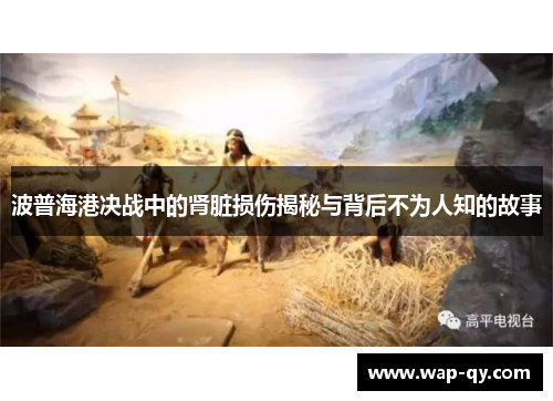 波普海港决战中的肾脏损伤揭秘与背后不为人知的故事