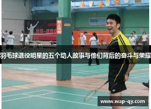 羽毛球退役明星的五个动人故事与他们背后的奋斗与荣耀