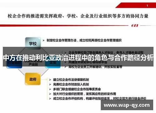 中方在推动利比亚政治进程中的角色与合作路径分析