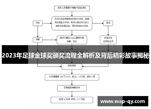 2023年足球金球奖颁奖流程全解析及背后精彩故事揭秘