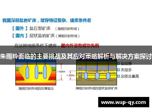 朱雨玲面临的主要挑战及其应对策略解析与解决方案探讨
