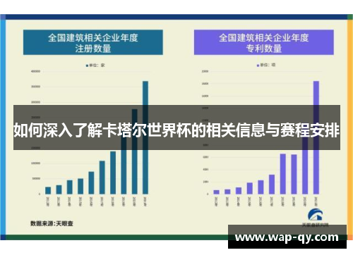 如何深入了解卡塔尔世界杯的相关信息与赛程安排