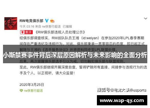 小斯禁赛事件背后深层原因解析与未来影响的全面分析